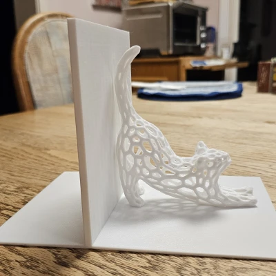 Chặn Sách Mèo Voronoi