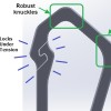 Móc Carabiner - Thumbnail 6