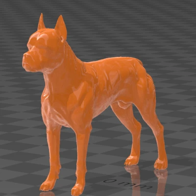 Mô Hình Chó Boxer