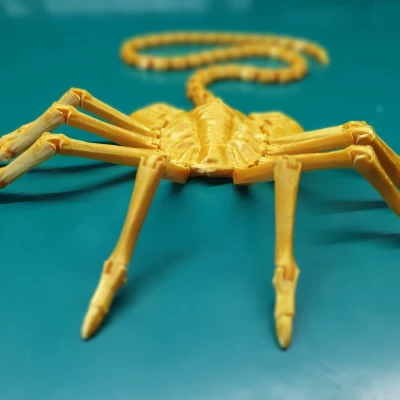 👽🦀 Người ngoài hành tinh REMASTERED facehugger in-place. Đuôi và ngón tay dài.