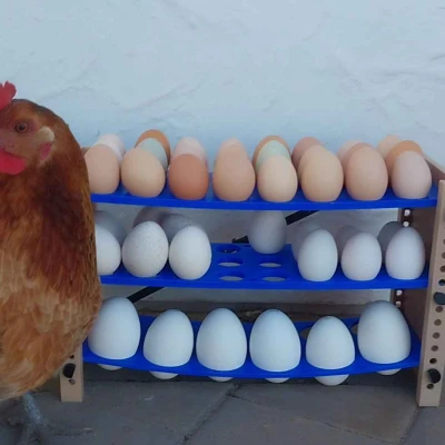 Tháp Trứng Gà và Ngỗng