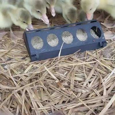 Máng Ăn Cho Gà Con