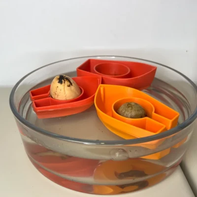 Dụng Cụ Ươm Mầm Bơ