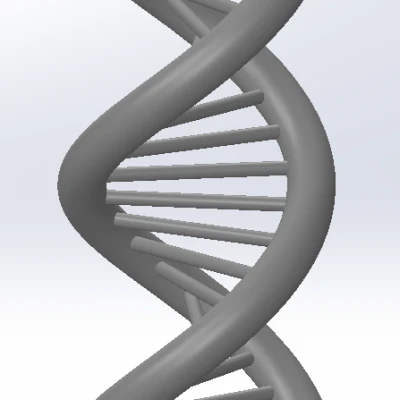 Mô Hình Xoắn Ốc DNA 3D