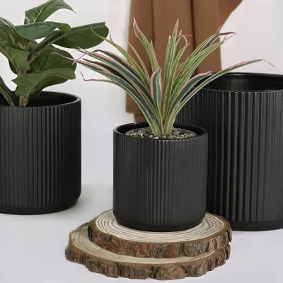 Chậu Cây/Flower Pot 001