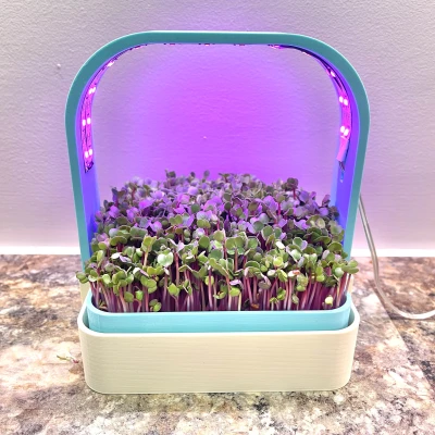 Nông Trại Rau Mầm Đặt Bàn Với Đèn Chiếu Sáng