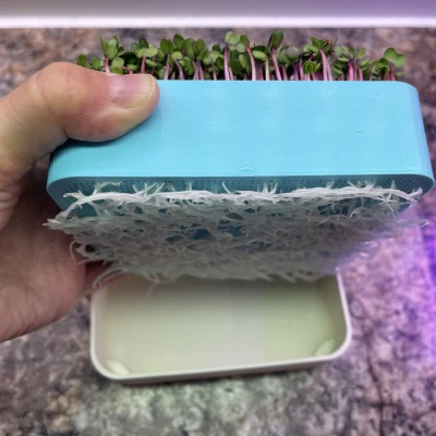 Nông Trại Rau Mầm Đặt Bàn Với Đèn Chiếu Sáng