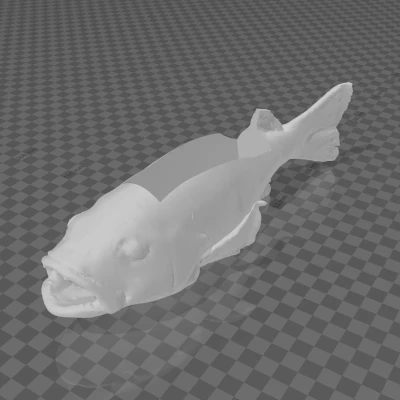 Kệ Đựng Danh Thiếp Hình Cá Snapper