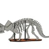 [3Dino Puzzle] Khủng long Triceratops Phong cách Cổ điển - Thumbnail 3