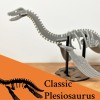 [3Dino Puzzle] Khủng long cổ đại Plesiosaurus - Thumbnail 1