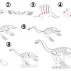[3Dino Puzzle] Khủng long cổ đại Plesiosaurus - Thumbnail 2