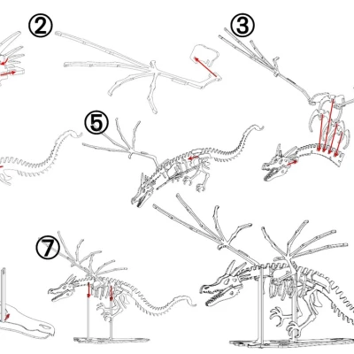 [Fantasy & Primal] Bộ xương Wyvern