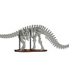 [3Dino Puzzle] Khủng long Brontosaurus (Apatosaurus cổ điển) - Thumbnail 3