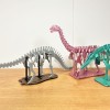 [3Dino Puzzle] Khủng long Brontosaurus (Apatosaurus cổ điển) - Thumbnail 8