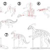 [3Dino Puzzle] Khủng long Parasaurolophus Phong Cách Cổ Điển - Thumbnail 4
