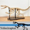 [3Dino Puzzle] Khủng Long Bạo Chúa Velociraptor - Thumbnail 1