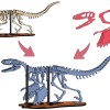 [3Dino Puzzle] Khủng Long Bạo Chúa Velociraptor - Thumbnail 8