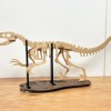 [3Dino Puzzle] Khủng Long Bạo Chúa Velociraptor - Thumbnail 9
