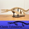 [3Dino Puzzle] Tylosaurus Phong Cách Cổ Điển - Thumbnail 1