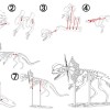[3Dino Puzzle] Khủng Long Dilophosaurus Phong Cách Cổ Điển - Thumbnail 3
