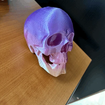 Mô Hình Đầu Lâu