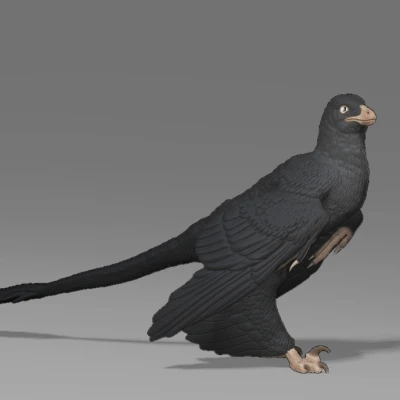 Mô hình Microraptor