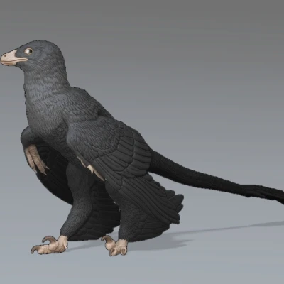 Mô hình Microraptor