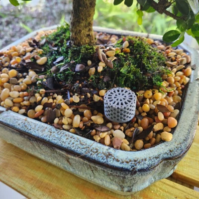 GIỎ PHÂN BÓN BONSAI CÓ REN