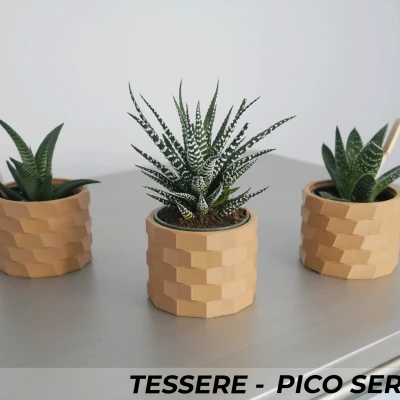 Bộ Ba Chậu Cây Cảnh Tessere Series