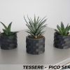 Bộ Ba Chậu Cây Cảnh Tessere Series - Thumbnail 2