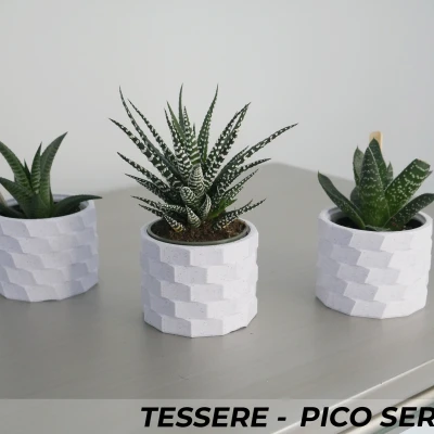 Bộ Ba Chậu Cây Cảnh Tessere Series