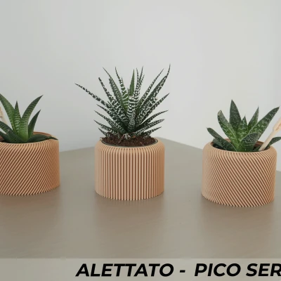 Bộ 3 Chậu Cây Alettato Series