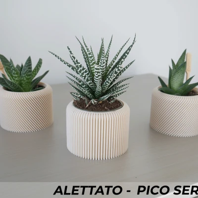 Bộ 3 Chậu Cây Alettato Series