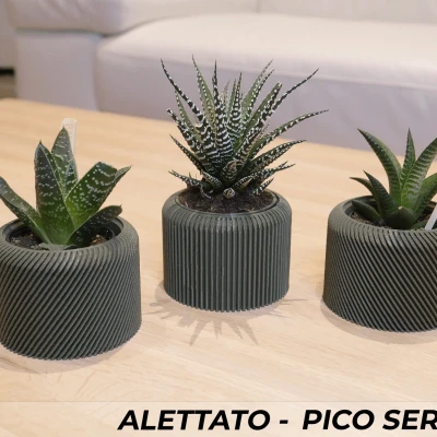 Bộ 3 Chậu Cây Alettato Series