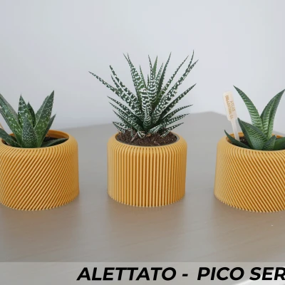 Bộ 3 Chậu Cây Alettato Series