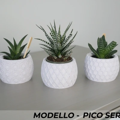 Bộ Chậu Cây Modello Series Ba Mẫu