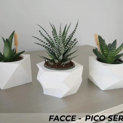 Bộ 3 Chậu Cây Mini Facce Series