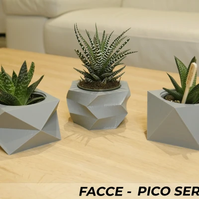 Bộ 3 Chậu Cây Mini Facce Series