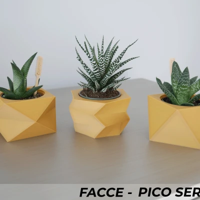 Bộ 3 Chậu Cây Mini Facce Series