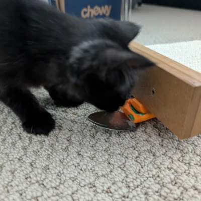 Dụng cụ bóp thức ăn lỏng cho mèo Churu thao tác 1 tay (Tự mang muỗng)