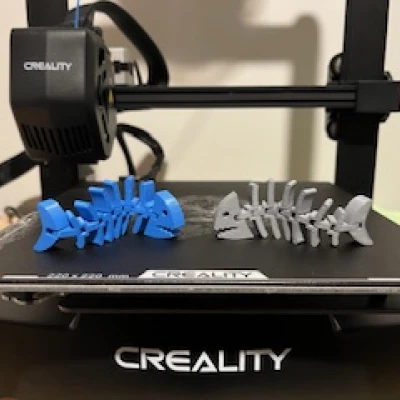 Cá Khung Xương Khớp Nối Linh Hoạt (Articulated Skeleton Flexi Fish)