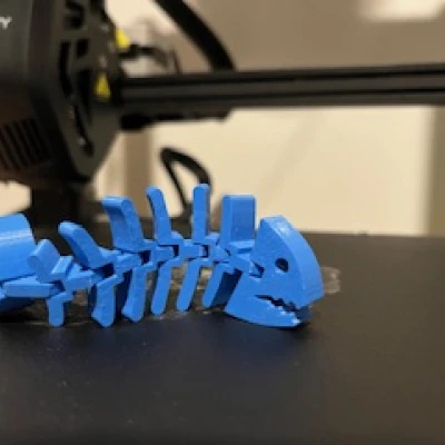 Cá Khung Xương Khớp Nối Linh Hoạt (Articulated Skeleton Flexi Fish)