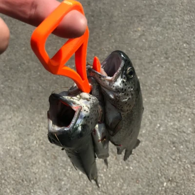 Móc Giữ Cá Câu Được