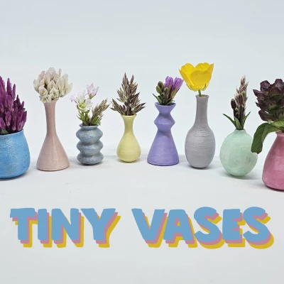 Chậu Hoa Tí Hon "Tiny Vases"