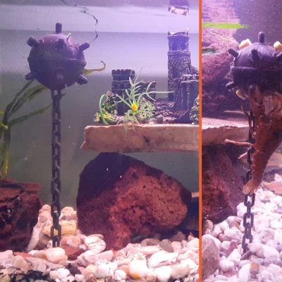 Mìn Thả Trôi Thủy Sinh - Không Hỗ Trợ, Không Keo, Không Dây Buộc