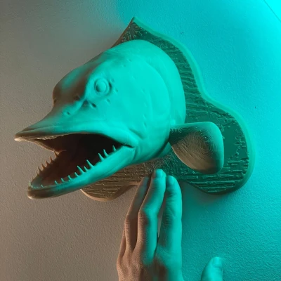 Trang trí đầu cá chó treo tường