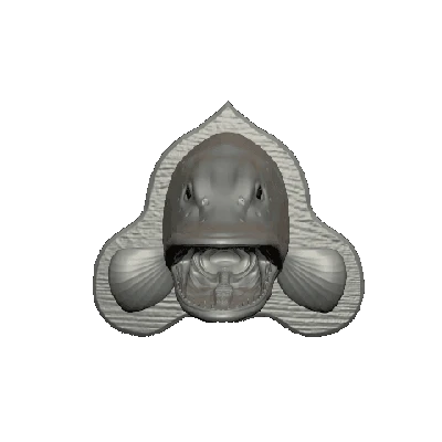 Trang trí đầu cá chó treo tường