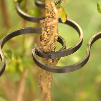 Susi-Clip - Hệ thống kẹp làm vườn cho cây và hỗ trợ tán