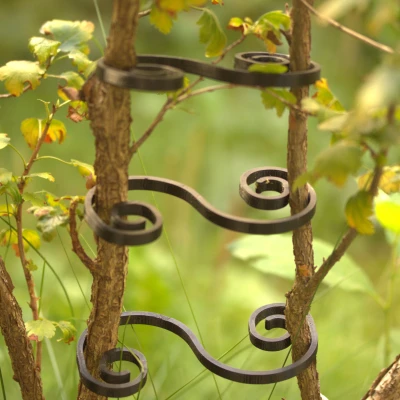 Susi-Clip - Hệ thống kẹp làm vườn cho cây và hỗ trợ tán