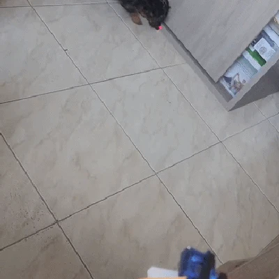 Đồ chơi laser cho mèo & chó